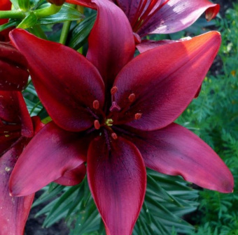 b5rhfM6I4maH4342uX-e1543005356449