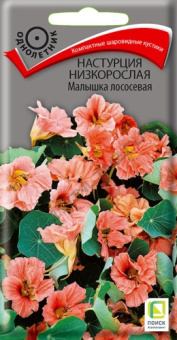 nastrucia_nizkorosl_malyshka_lososevaya