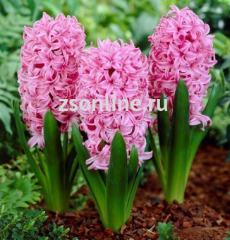 Изображение загружено обработкой по данным файла Excel