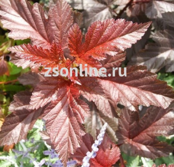 Изображение загружено обработкой по данным файла Excel