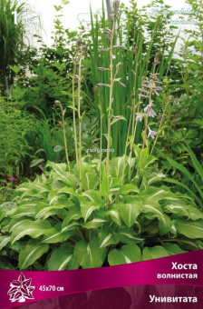 Изображение загружено обработкой по данным файла Excel