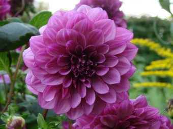 05c0f342923a8620892a2e0a8bc61e73