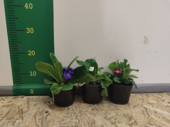 d6774b90-74bf-4fb1-8e30-73163a6304ae