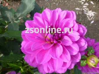 Изображение загружено обработкой по данным файла Excel