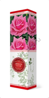 rosa_chaino_gibrid_eifel_tower_3D