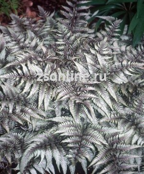 Изображение загружено обработкой по данным файла Excel