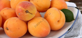 абрикос успех