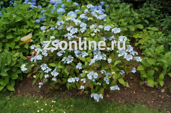 Изображение загружено обработкой по данным файла Excel