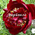 Пион травянистый Петер Бранд (махровый,тёмный,рубиново-красный, диам.18,аром.лёгкий,поздний,1шт,2-3)