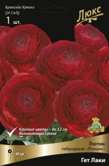 Лютик гибридный Романс Гет Лаки*/К