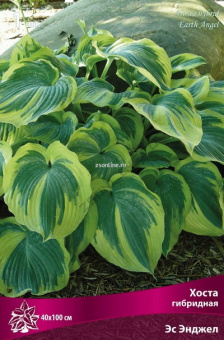 Изображение загружено обработкой по данным файла Excel