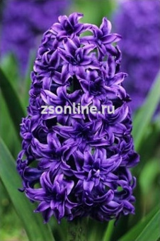 Изображение загружено обработкой по данным файла Excel