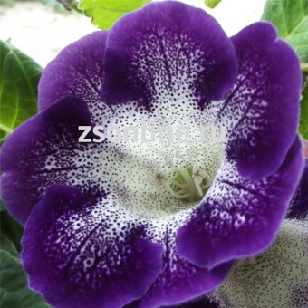 Изображение загружено обработкой по данным файла Excel