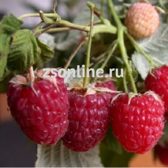 Изображение загружено обработкой по данным файла Excel