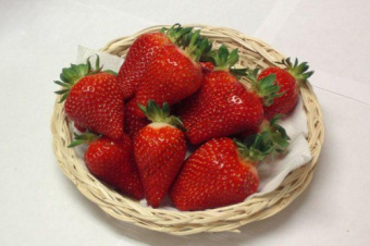 Земляника садовая Азия P9