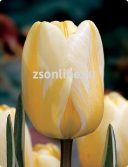 Изображение загружено обработкой по данным файла Excel