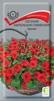 petunia_ampel_simfonia_krasnaya