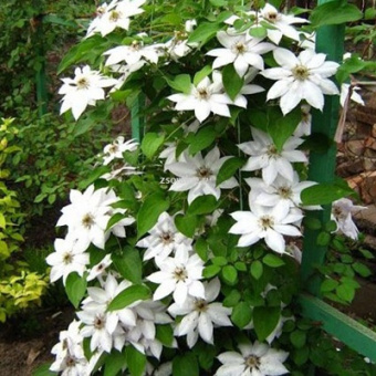 Изображение загружено обработкой по данным файла Excel