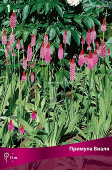 Изображение загружено обработкой по данным файла Excel