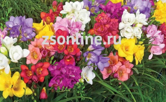 Изображение загружено обработкой по данным файла Excel