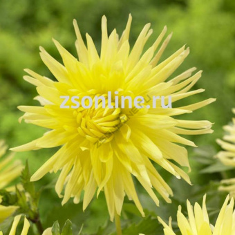 Изображение загружено обработкой по данным файла Excel