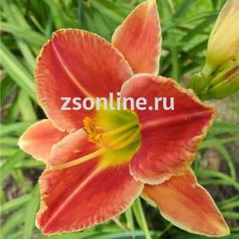 Изображение загружено обработкой по данным файла Excel