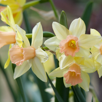 b2651ba6bfbe628821e876c4b2e0397d