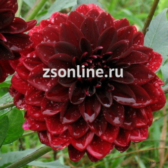 Изображение загружено обработкой по данным файла Excel