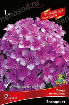 Флокс метельчатый Звездочет*/К