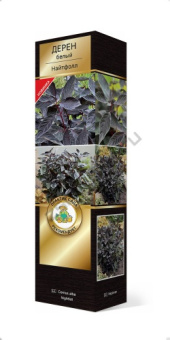 Дерен белый Найтфолл/ЦКорЛюкс