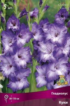 Гладиолус Куки 10-12/К 5шт