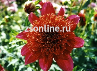 Изображение загружено обработкой по данным файла Excel