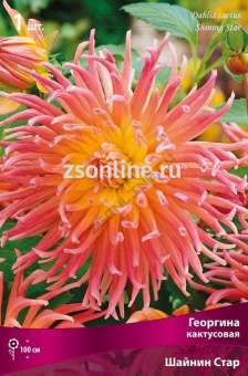 Изображение загружено обработкой по данным файла Excel