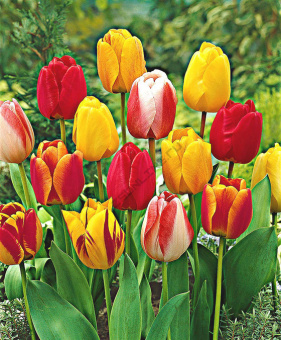 b9d0cfa56b1b6b8349fcc9ad31164eab