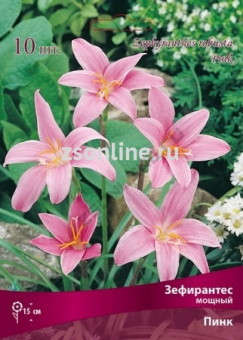 Изображение загружено обработкой по данным файла Excel