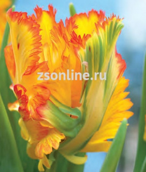 Изображение загружено обработкой по данным файла Excel