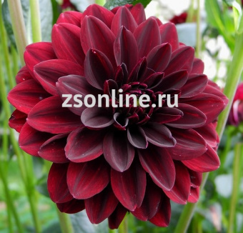 Изображение загружено обработкой по данным файла Excel