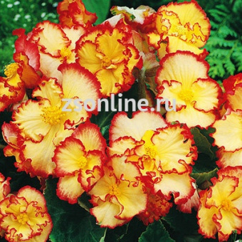 Изображение загружено обработкой по данным файла Excel