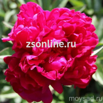 Изображение загружено обработкой по данным файла Excel