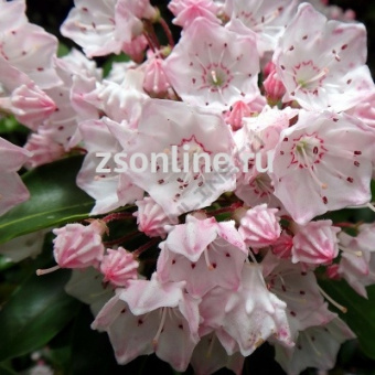 Изображение загружено обработкой по данным файла Excel