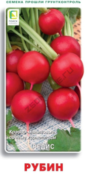 Редис Рубин