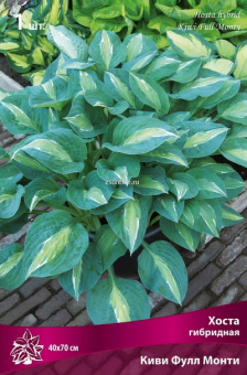 Изображение загружено обработкой по данным файла Excel