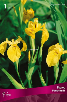 Изображение загружено обработкой по данным файла Excel