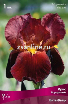 Изображение загружено обработкой по данным файла Excel