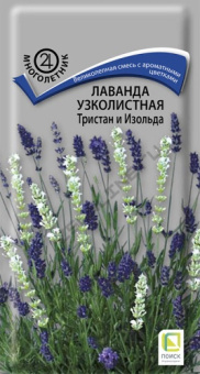 lavanda_uzkolist_tristan_i_izolda
