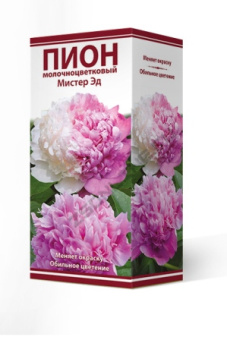 pion_moloch_mister_ed_3D