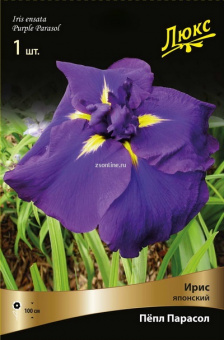 Изображение загружено обработкой по данным файла Excel