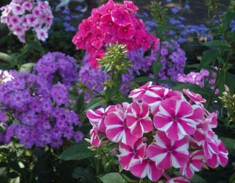 gqi1kjuj4skct5uflshtsfddxd7aj7be