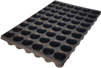 097a2d6e54185c65097c6253757c9264