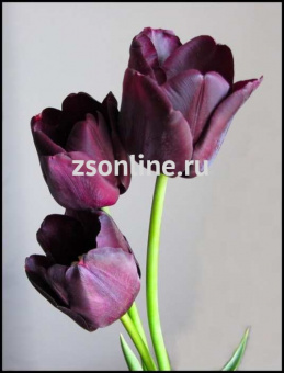 Изображение загружено обработкой по данным файла Excel